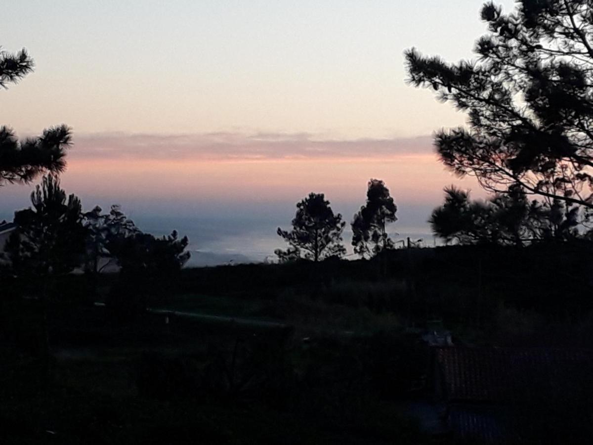 Quinta Bogesi Bed & Breakfast Figueira da Foz Luaran gambar